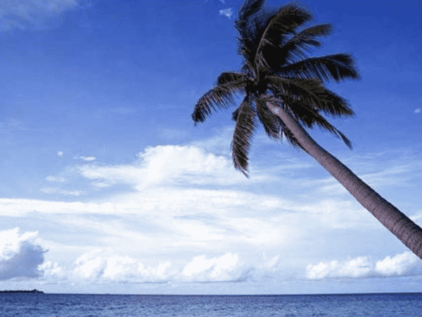 現(xiàn)代制冷空調系統(tǒng)實訓設備——現(xiàn)代制冷技術的應用 
